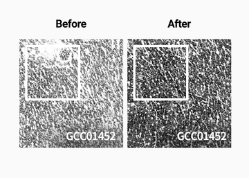 clinical study shows H201SHIFT showerhead improved skin hydration within 4 weeks of usage.